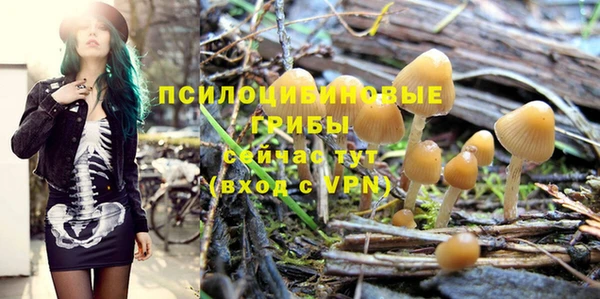 MDMA Гусиноозёрск